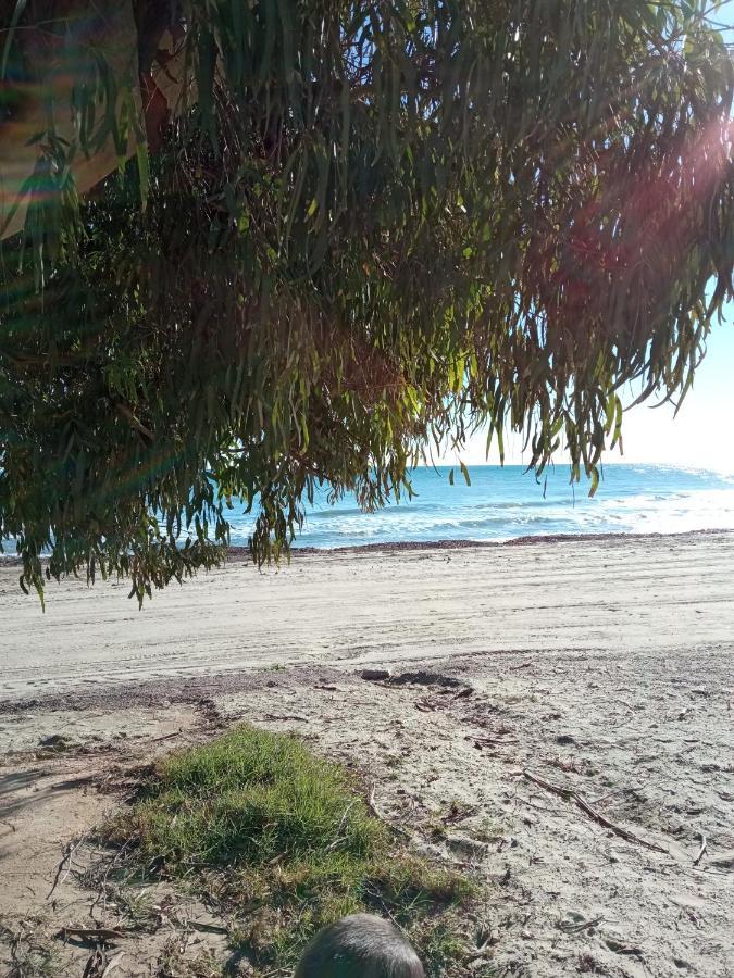 Practico Apartamento En El Centro De Marina D'Or Oropesa del Mar Bagian luar foto